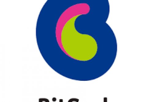 BitCashとはどんな電子マネー？EdyやSuicaとの違いは？